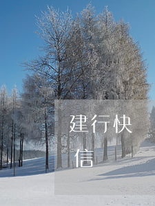 建行快貸怎么查征信，如何查詢建行快貸的征信記錄？